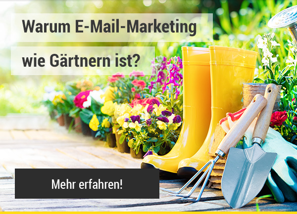 Bringen Sie Ihr E-Mail-Marketing zum Blühen