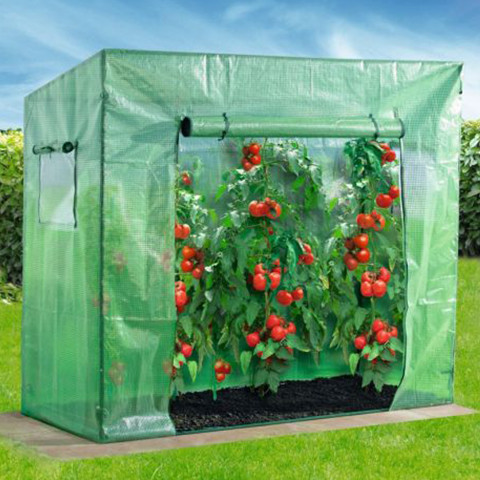 Powertec Garden Tomaten-Gewächshaus 