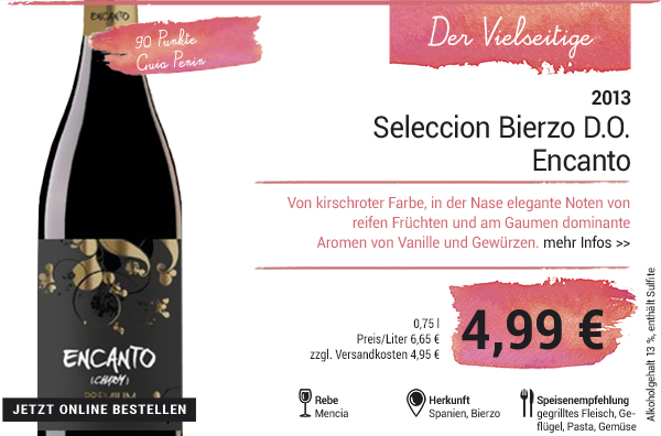 Seleccion Premium Bierzo D.O., 2013 - Spanien, trocken